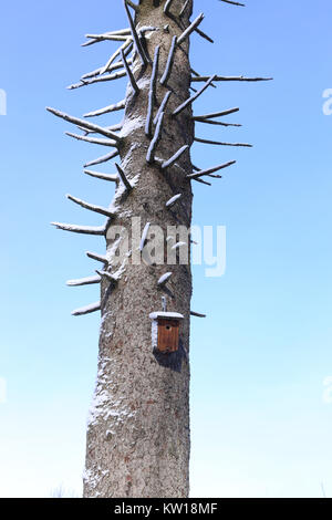 Vogelhaus - Birds Nest - Schnee bedeckt Stockfoto