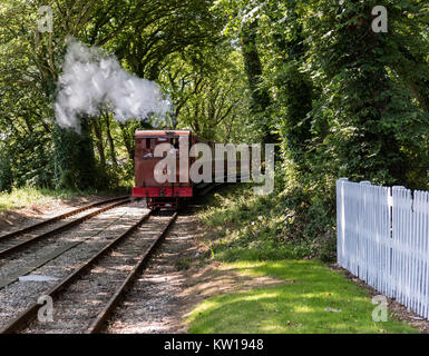 Locomotove unter Dampf Stockfoto