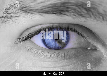Das Piercing männlichen Blick, blaue Augen mit grauen Flecken. Stockfoto