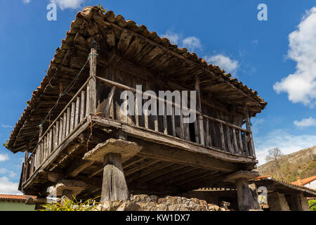 Horreo asturiano. Asturische Scheune. Populäre Architektur in Riocaliente. Asturien. Spanien. Stockfoto