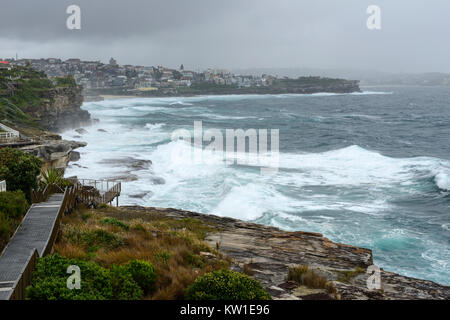 Stürmische Meere auf Küstenweg zu Clovelly, einem östlichen Vorort von Sydney, New South Wales, Australien Stockfoto