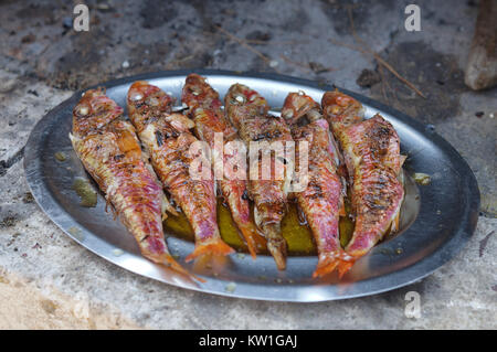 Gegrillter Fisch auf dem Teller Stockfoto