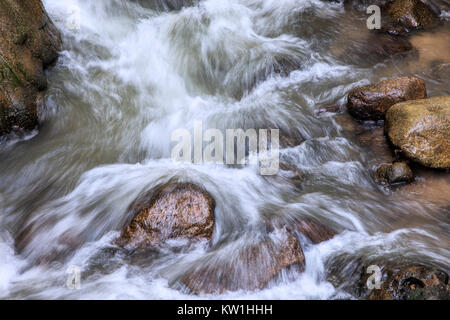 Wasser fließt, um die Felsen in Roaring Fork Creek entlang der Roaring Fork Motor Tour in der Great Smoky Mountains National Park Tennessee USA Stockfoto