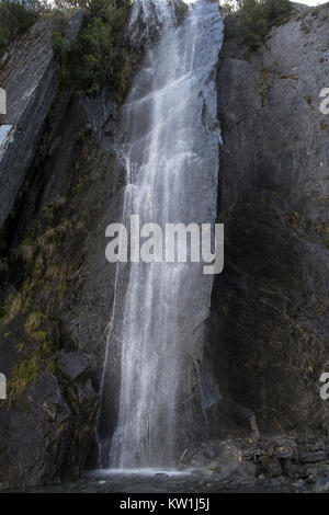 Westland Tai Poutini National Park, Neuseeland. Wasserfall Stockfoto