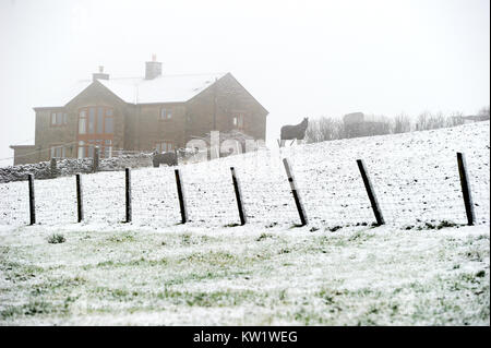 Affetside, begraben. 29 Dez, 2017. UK Wetter: Winter wonderland Szene als Schnee bedeckt den Boden um Durcheinander Country Park in Bolton, Lancashire. Pferde auf einem Bauernhof in den Nebel. Bild von der Credit: Paul Heyes/Alamy leben Nachrichten Stockfoto