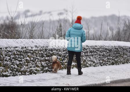 Neue Mühlen, High Peak, Derbyshire. 29. Dez 2017. Eine Frau geht mit ihrem Hund pass auf der schneebedeckten Fahrbahn in neuen Mühlen. Quelle: John Fryer/Alamy leben Nachrichten Stockfoto