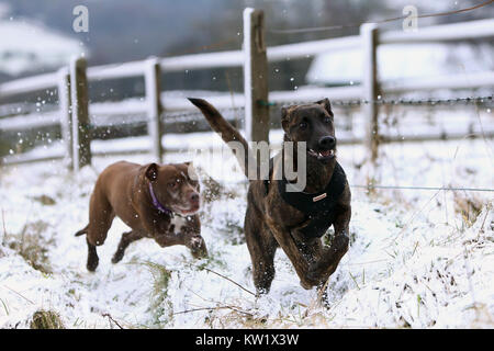 Winter schnee Szenen um Birch Vale, High Peak, Großbritannien Stockfoto