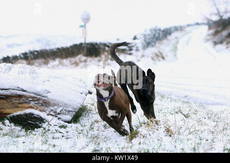 Winter schnee Szenen um Birch Vale, High Peak, Großbritannien Stockfoto