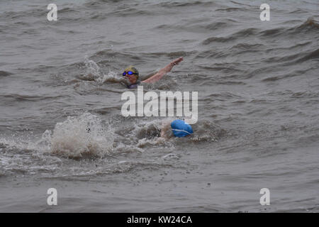 Clevedon, VEREINIGTES KÖNIGREICH. 30. Dezember, 2017. UK Wetter. In einer kalten, stürmischen am späten Nachmittag nur die mutigen Klettern im Herbst in die oder aus dem Meer in Clevedon, North Somerset klettern. Robert Timoney/Alamy leben Nachrichten Stockfoto