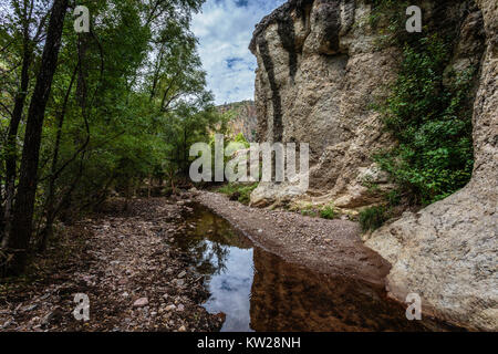 Eine subtile Reflexion ist eine von vielen interessanten Sehenswürdigkeiten in dieser wenig bekannten Canyon der Tumacacori Hochland im Süden von Arizona. Stockfoto