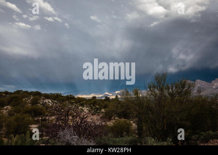 Sonnenstrahlen Filter durch den Winter Wolken und den Ausläufern des Santa Catalina Mountains in der Nähe von Tucson, Arizona beleuchten. Stockfoto