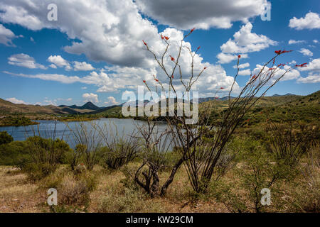 Anzeigen von Patagonien See in der Nähe des Dam mit dem roten Patagonien Berge in der Ferne. Südliches Arizona in der Nähe von Patagonien. Stockfoto