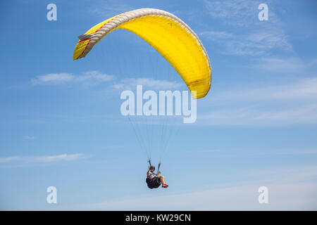 Mann genießt Gleitschirmfliegen über Long Reef Point an den nördlichen Stränden von Sydney, NSW, Australien, gelbes Baldachin vor blauem Himmel Stockfoto