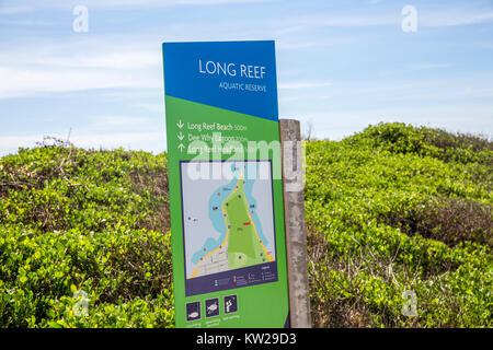 Long Reef aquatische finden und Strand am Sydney Northern Beaches, beliebter Ort für Wanderer und Gleitschirm, Sydney, Australien Stockfoto