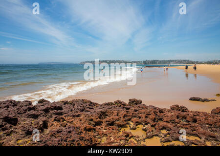 Blick entlang Long Reef Strand in Richtung Dee Why am nördlichen Strände von Sydney, New South Wales, Australien suchen Stockfoto