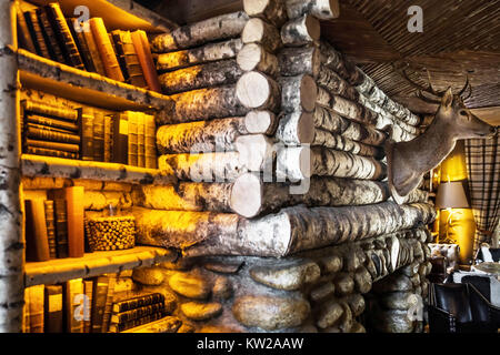 Geweihe auf eine Holzwand, Bücher, Lampe und vintage Stuhl. Stockfoto