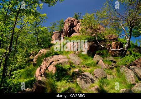 Osterzgebirge, big Lugstein auf dem Bogen mountain Crest, Großer Lugstein auf dem Erzgebirgskamm Stockfoto