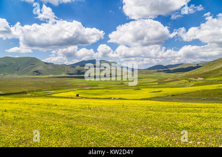 Schönen Sommer Landschaft am Piano Grande (Tiefebene) Hochplateau in dem Apenninischen Berge, Castelluccio Di Norcia, Umbrien, Italien Stockfoto
