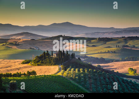 Malerische Toskana-Landschaft mit sanften Hügeln und Tälern im goldenen Morgenlicht, Val d ' Orcia, Italien Stockfoto