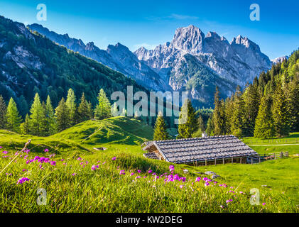 Idyllische Landschaft in den Alpen mit traditionellen Berghütte und frische grüne Almen mit blühenden Blumen bei Sonnenuntergang Stockfoto