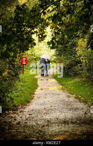 Ein paar teilen sich einen Regenschirm, wie sie im Wald bei Regen zu Fuß Dusche Stockfoto