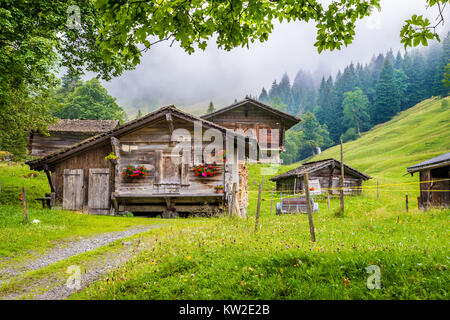 Malerische Aussicht auf traditionellen alten hölzernen Chalets in den Alpen mit frischen grünen Berg Wiesen, Bäume und mystische Nebel an einem bewölkten Tag im Sommer Stockfoto