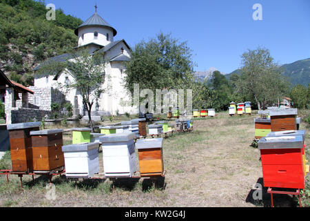 Bienenstöcke und Kirche im Kloster Moracha, Montenegro Stockfoto