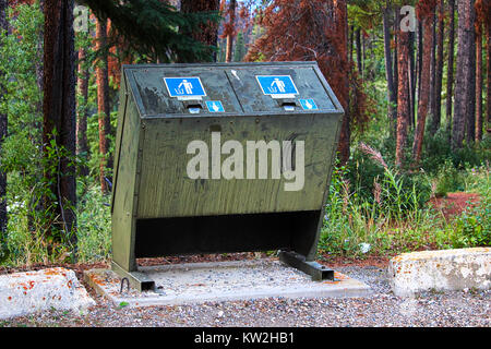 Ein Bär Nachweis Müllcontainer an der Seite einen Parkplatz. Stockfoto