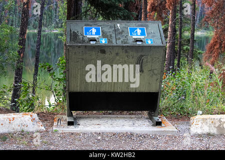 Ein Bär Nachweis Müllcontainer an der Seite einen Parkplatz. Stockfoto