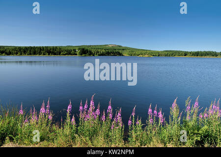 Großer Galgen Teich unter die kahlen Berge, Funkgeräte, gröberen Galgenteich Unter Dem Kahleberg Stockfoto