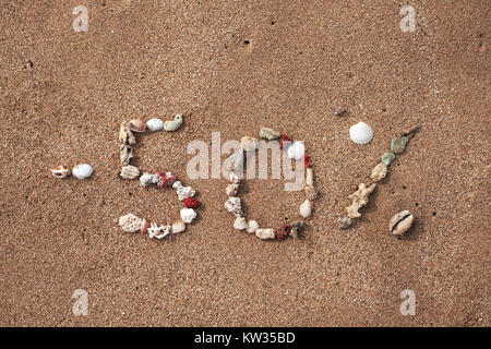 Text 50 Prozente auf Sand von Shell am Meeresufer. Konzept für grosse Verkäufe oder schwarzer Freitag Stockfoto