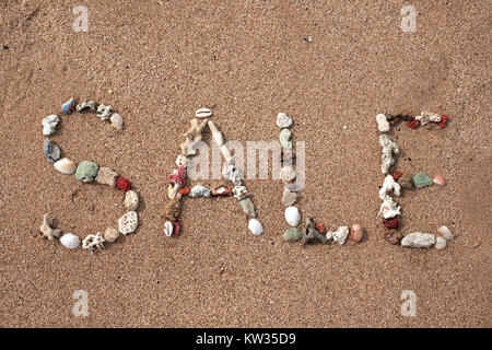 Text Verkauf von Shell am Sandstrand. Hintergrund für Ad oder Web Design Stockfoto
