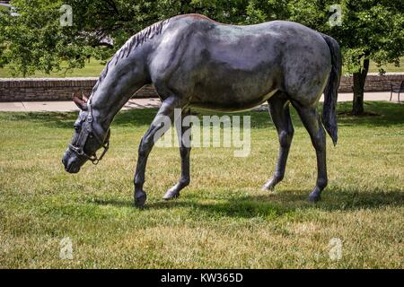 Lexington, Ky. USA. Juni 1, 2015. Thoroughbred Park verfügt über ein Dutzend Pferd Skulpturen von Gweyn Reardon und ist ein Wahrzeichen in der Innenstadt von Lexington. Stockfoto