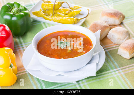 Nahaufnahme von gesunde Gemüse Suppe mit Zutaten um Stockfoto