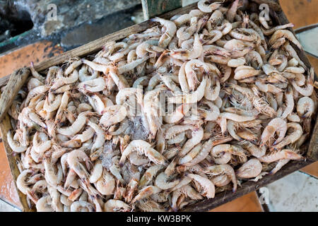 Fischmarkt in Hurghada. Stockfoto
