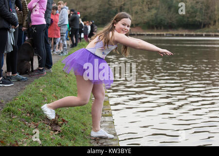 Die jährlichen Weihnachten Morgen dip fand an Blackroot Pool, Sutton Coldfield, West Midlands. DE Stockfoto