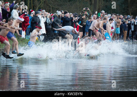 Die jährlichen Weihnachten Morgen dip fand an Blackroot Pool, Sutton Coldfield, West Midlands. DE Stockfoto