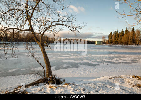 Winterlandschaft. Die gefrorenen Weißen See in Gatschina Park Stockfoto