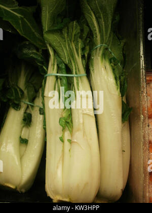Bok Choy, ein beliebtes grünes Blattgemüse, wird häufig in Trauben verkauft. Dieses Gemüse ist bekannt für seinen milden Geschmack und ist in der asiatischen Küche wegen seiner gesundheitlichen Vorteile und Vielseitigkeit beim Kochen weit verbreitet. Stockfoto