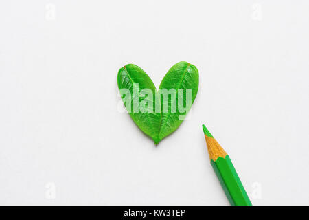 Herz Aus jungen grünen Blätter Bleistift auf weißem Hintergrund. Valentinstag Muttertag romantische Liebe Umwelt Vegan Logo Eco-Konzept. Gr Stockfoto