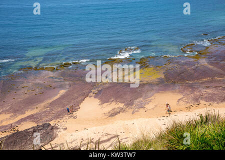 Der Fels Regal auf Long Reef Point in Sydney Northern Beaches bei Ebbe, New South Wales, Australien Stockfoto