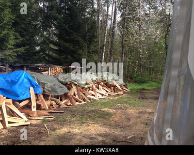 Ein Porträt von Bjorn, einer historischen Figur, aufgenommen in einem detaillierten Bild aus der Fotografie des frühen 20. Jahrhunderts. Stockfoto