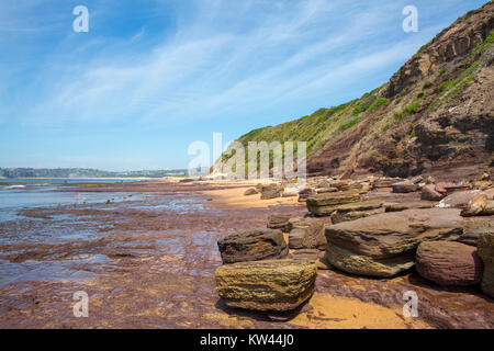 Long Reef Point in Long Reef aquatische buchen Northern Beaches von Sydney, New South Wales, Australien Stockfoto