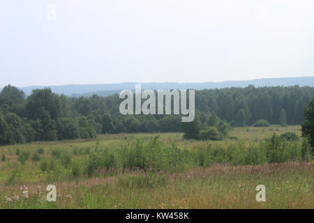 Boblovo Hill (2016 07 30), 02. Stockfoto