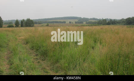 Boblovo Hill 2016 07 30 01. Stockfoto