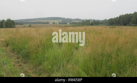 Boblovo Hill 2016 07 30 02. Stockfoto