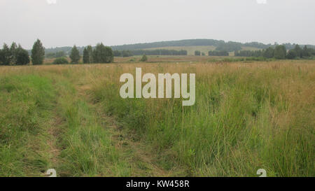 Boblovo Hill 2016 07 30 03. Stockfoto