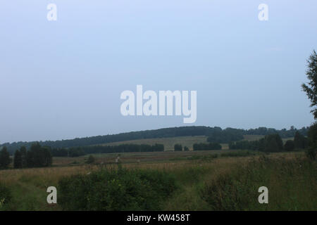 Boblovo Hill (2016 07 30), 03. Stockfoto