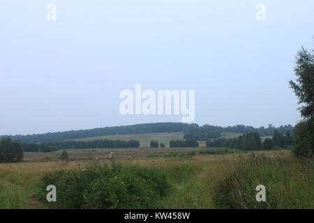 Boblovo Hill (2016 07 30), 04. Stockfoto