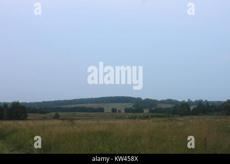 Boblovo Hill (2016 07 30), 05. Stockfoto